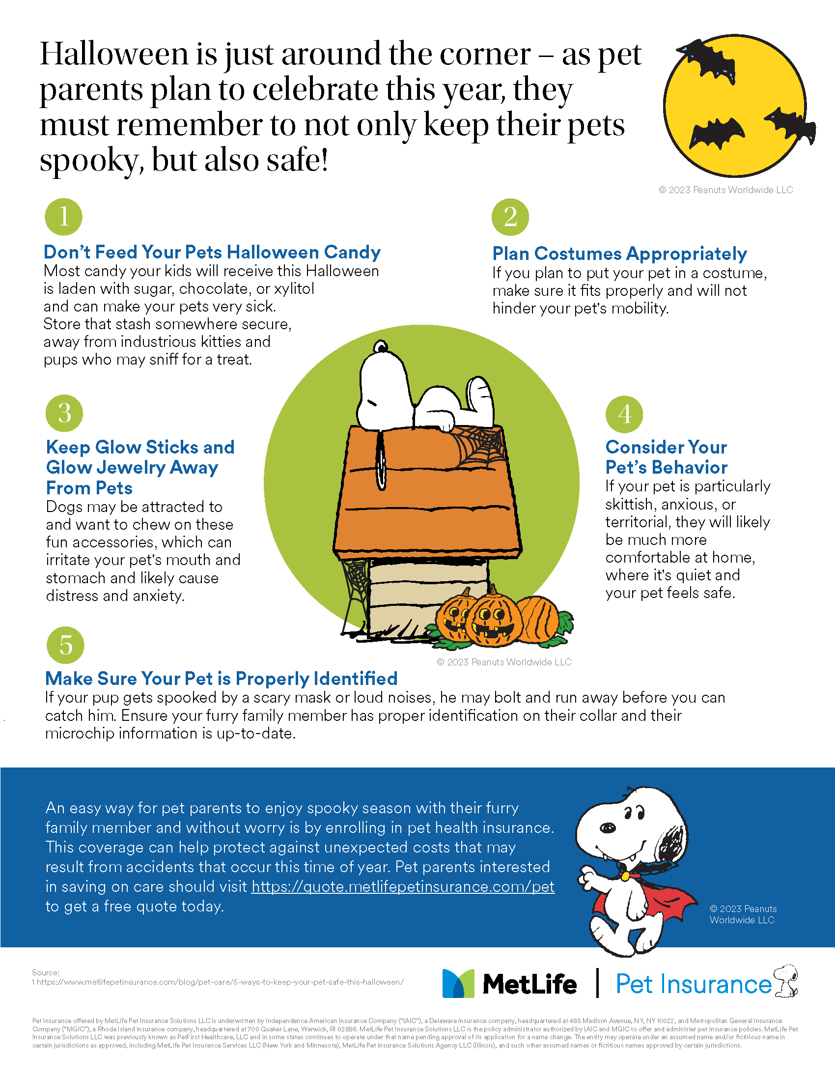 Infographic describing Halloween Pet Safety Tips