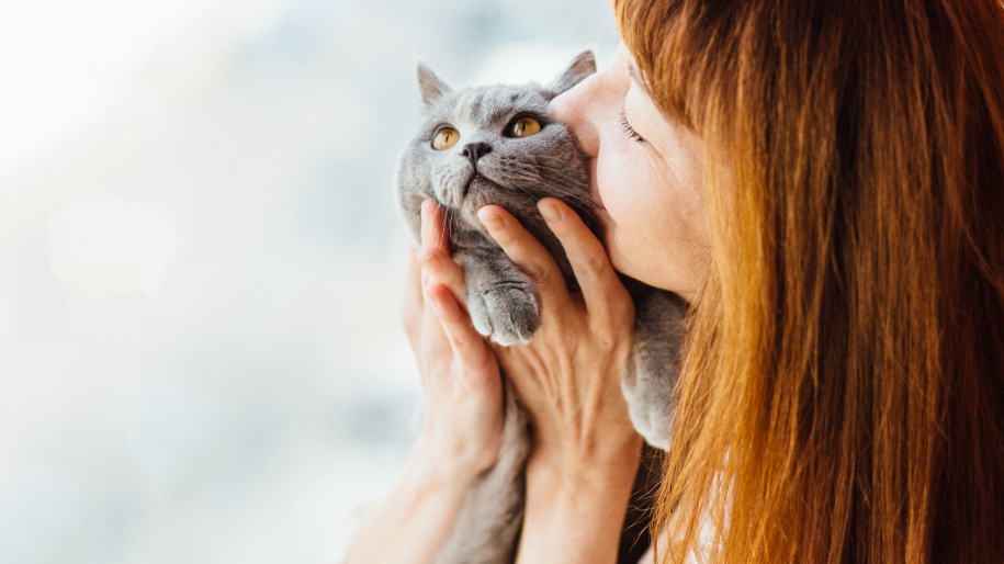 4 Factors To Consider When Hiring A Pet Sitter