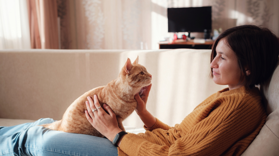 Hidden Hazards for Your Indoor Cat | MetLife Pet Insurance