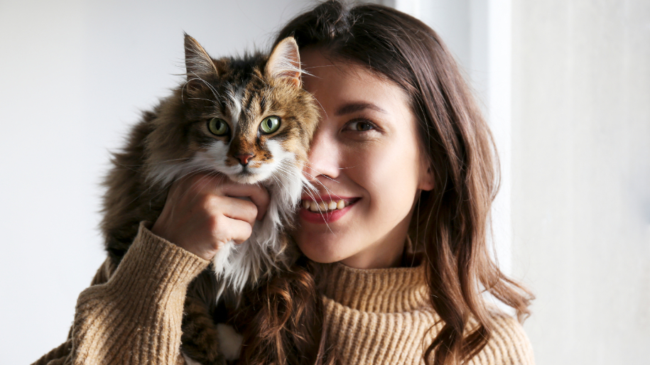 How to Travel Safely with Cats | MetLife Pet Insurance