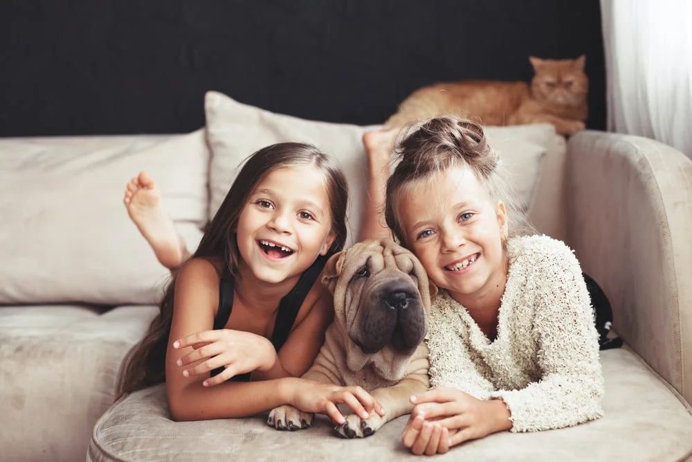 Little girls laying on their couch with their dog.  A cat is in the background