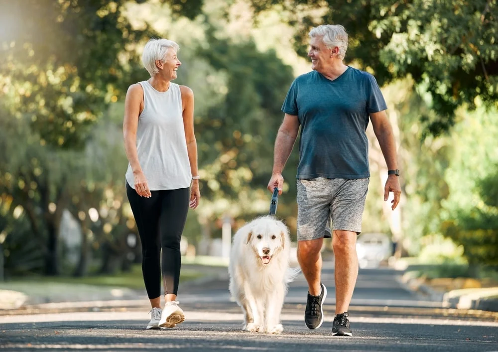 Older couple walking with a dog